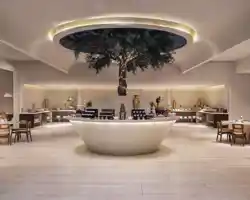 Shaden Resort thumbnail